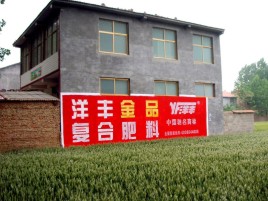 庐江如何让墙体广告展现最大化效果