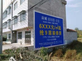 庐江墙体广告质量分析